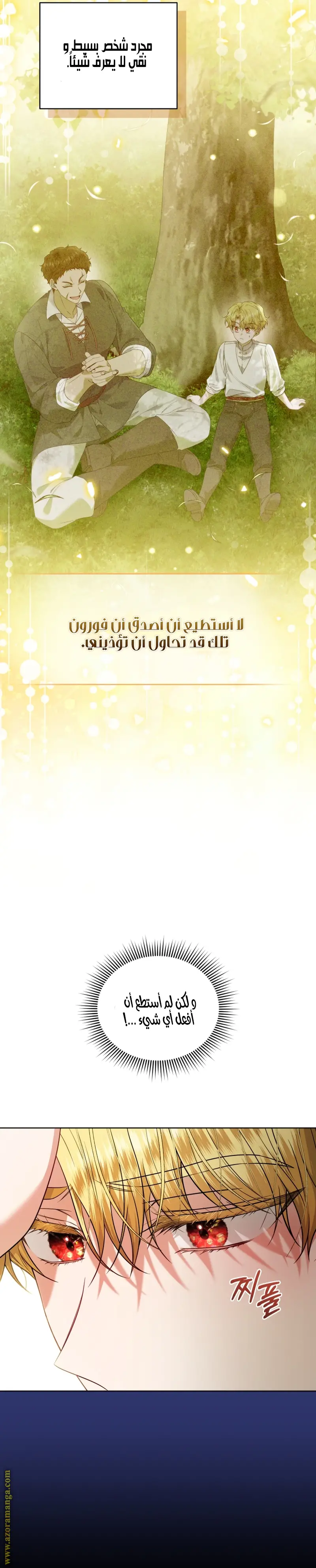 الصفحة 29