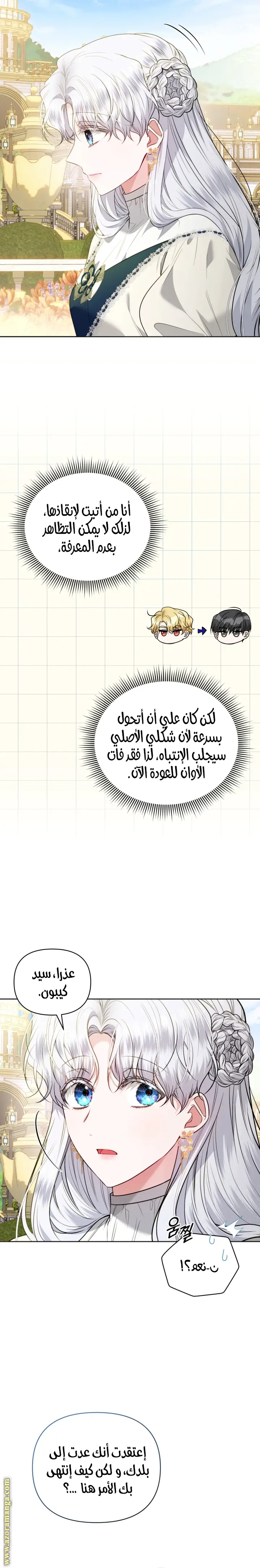 الصفحة 19