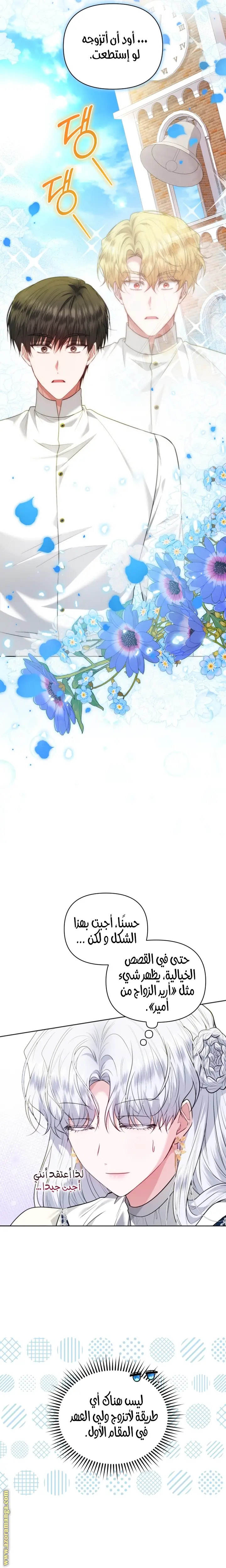 الصفحة 25