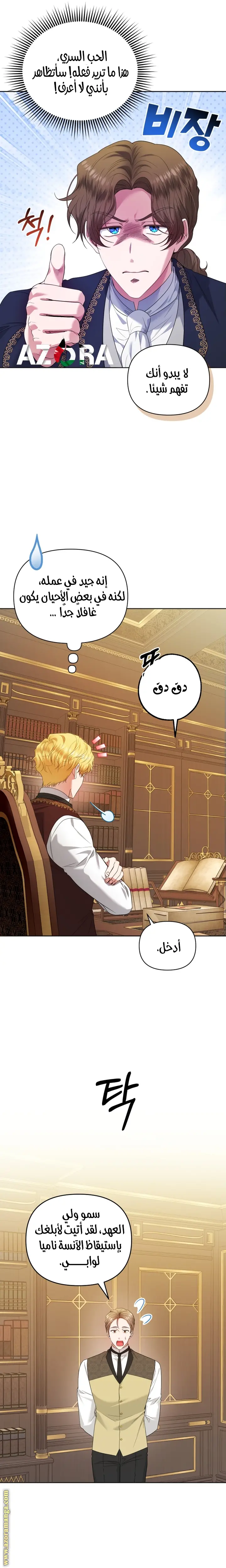 الصفحة 13