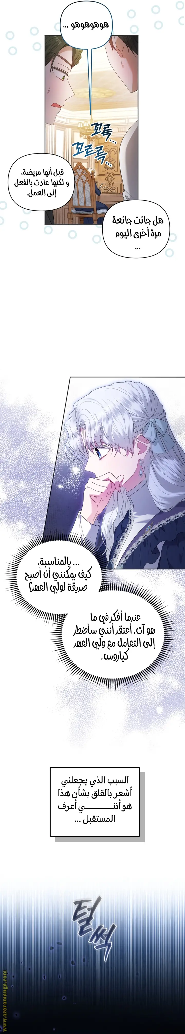 الصفحة 17