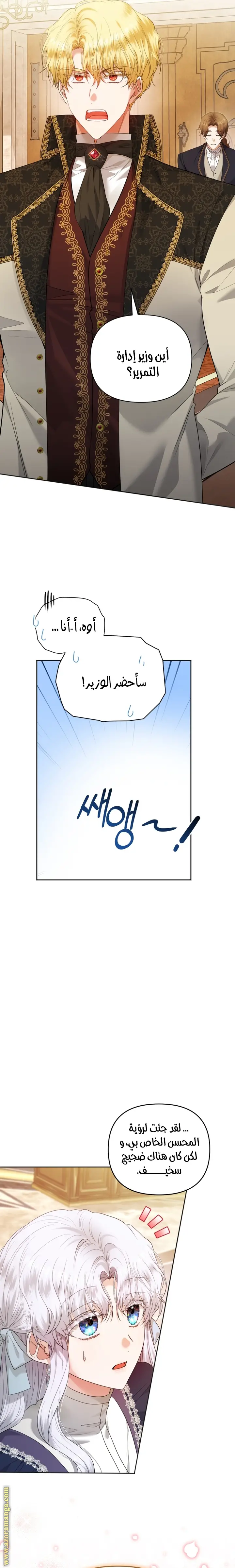 الصفحة 29