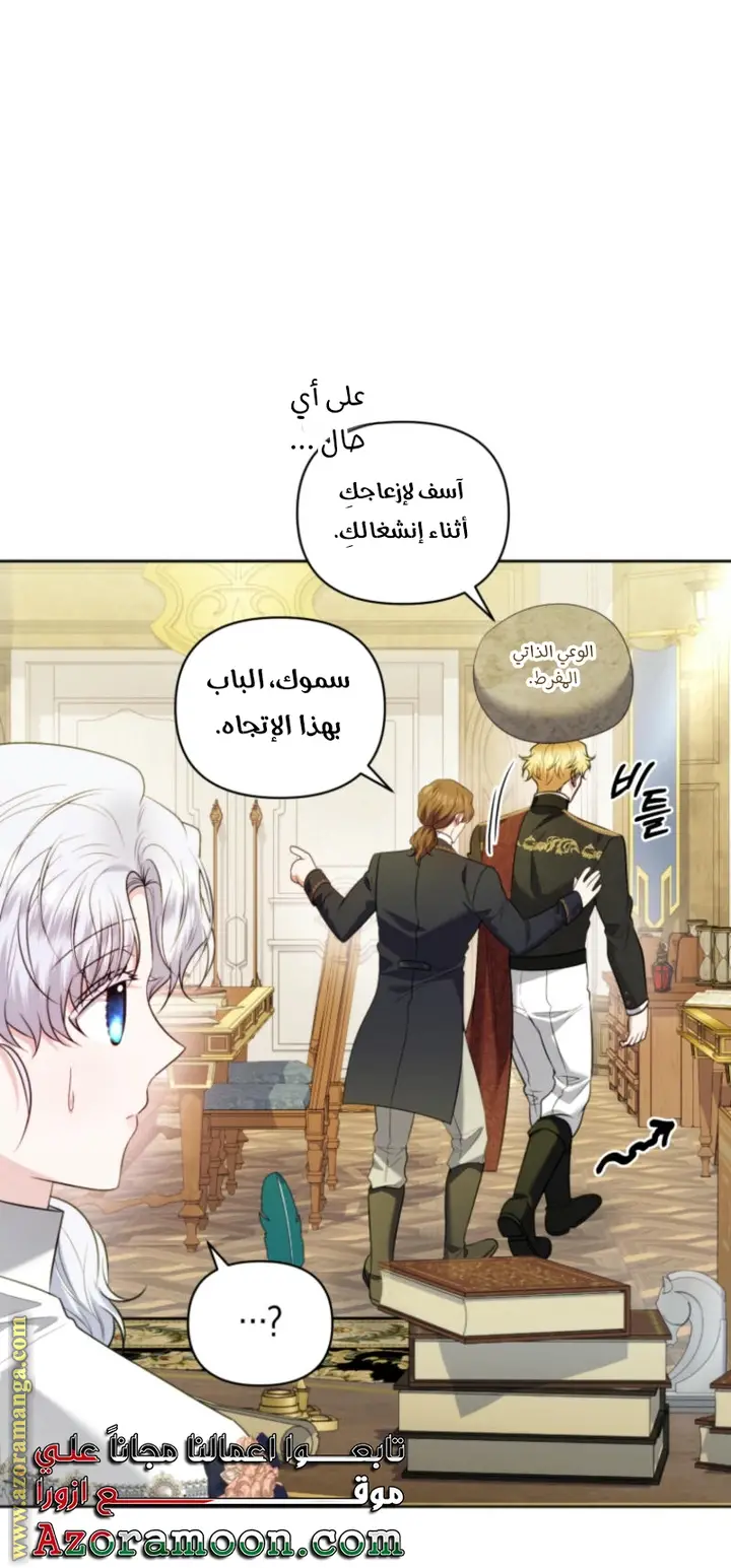 الصفحة 29