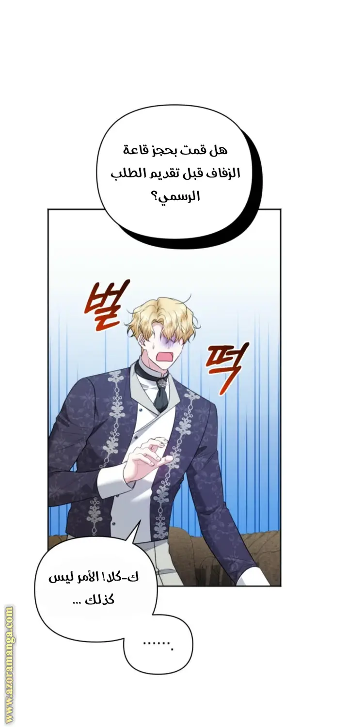 الصفحة 43