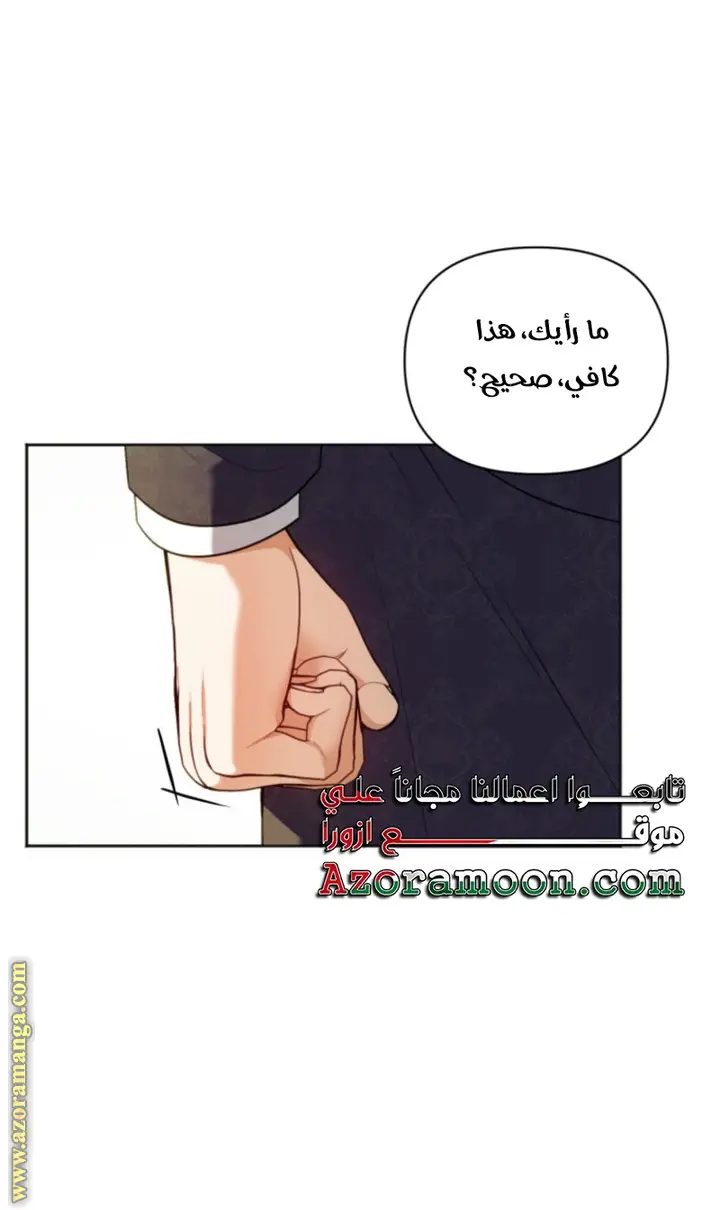الصفحة 29