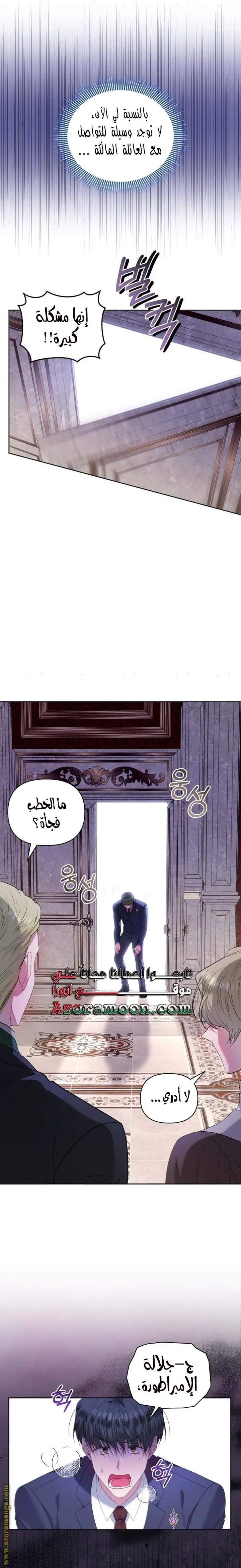 الصفحة 25