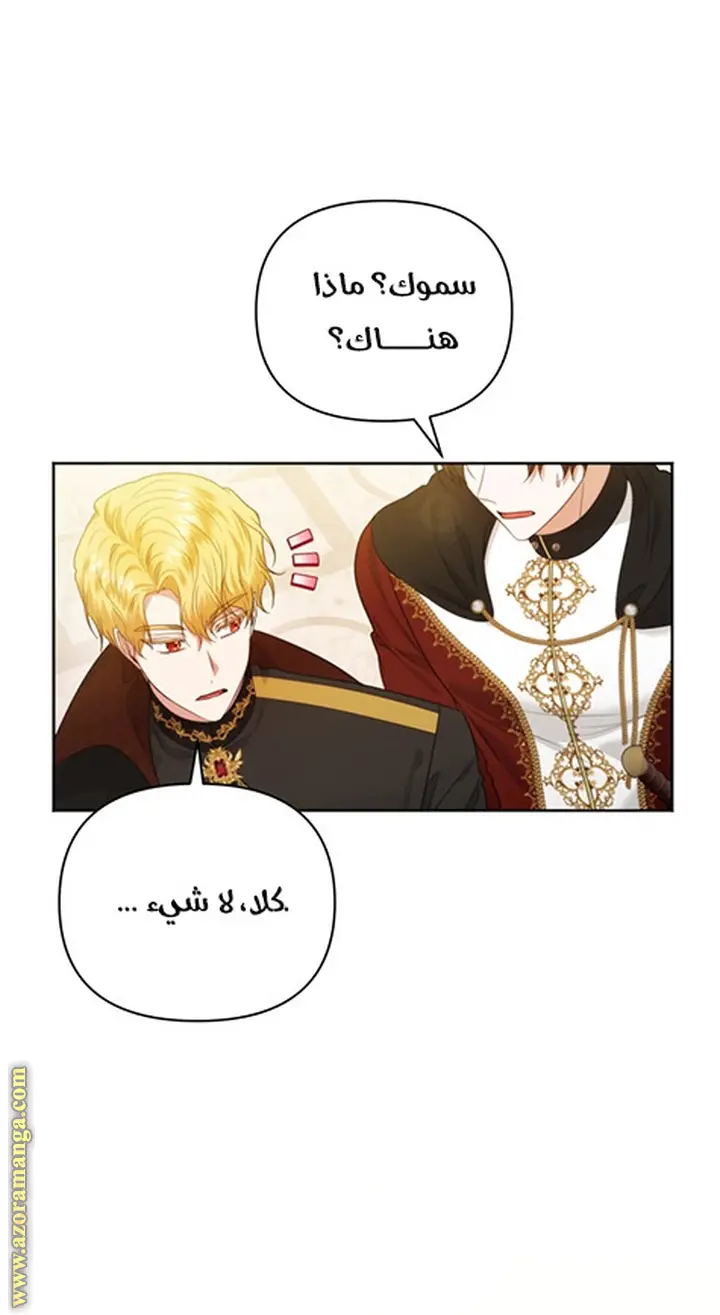 الصفحة 27