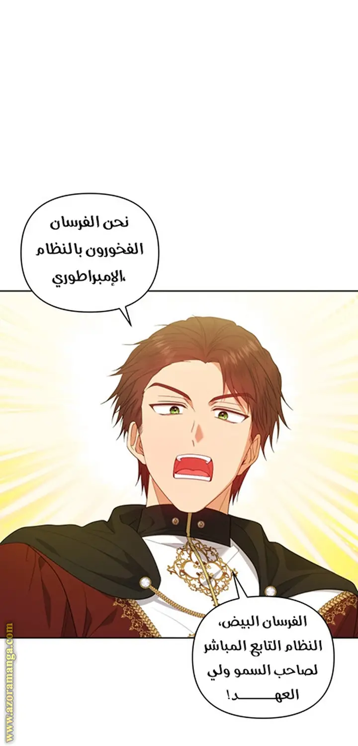 الصفحة 31