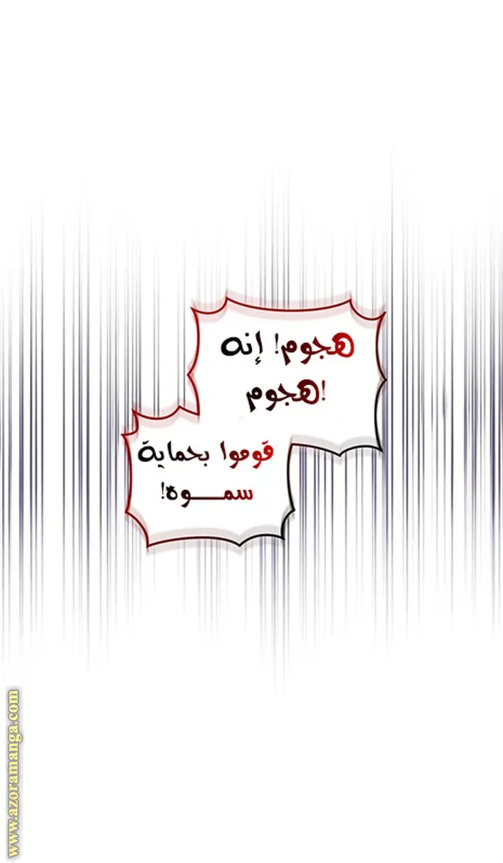 الصفحة 46