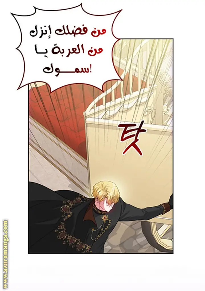 الصفحة 47