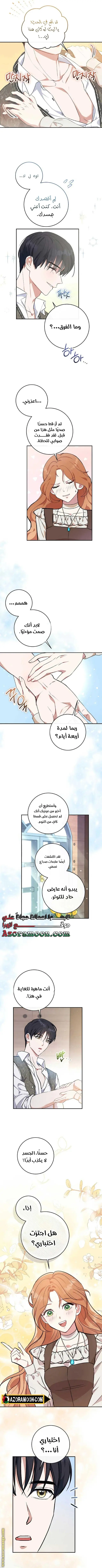 الصفحة 15