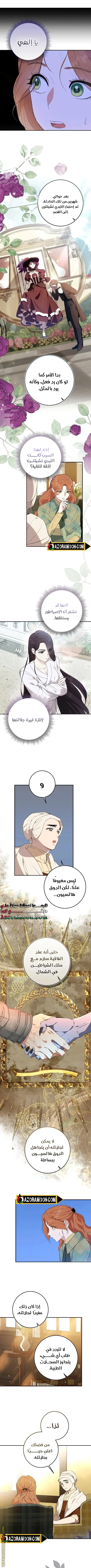 الصفحة 8