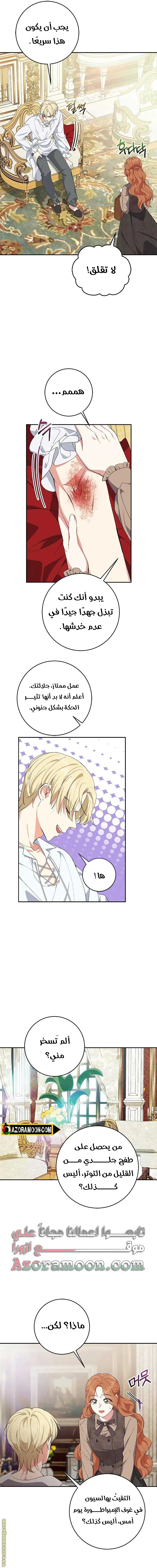 الصفحة 14
