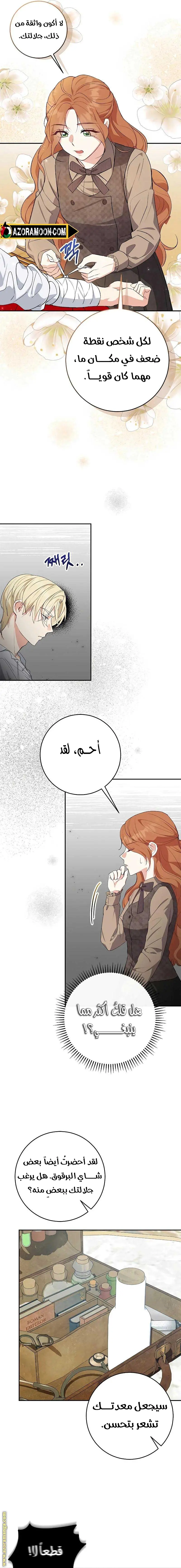 الصفحة 17
