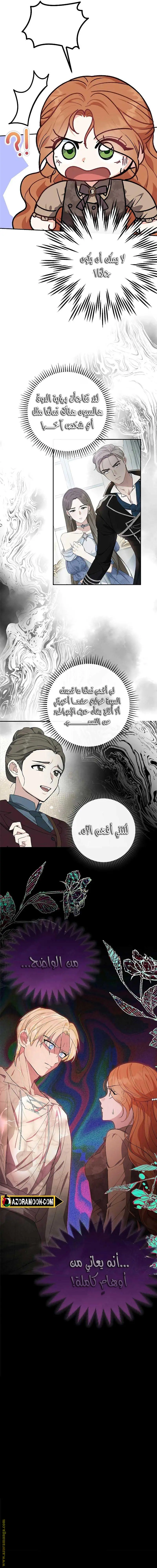 الصفحة 19