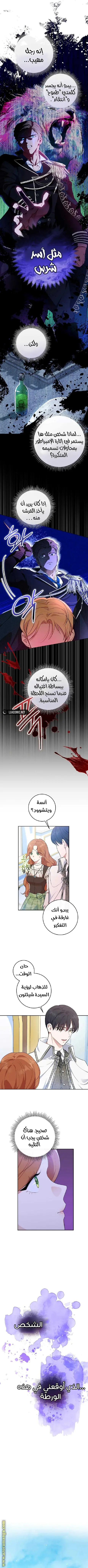 الصفحة 10