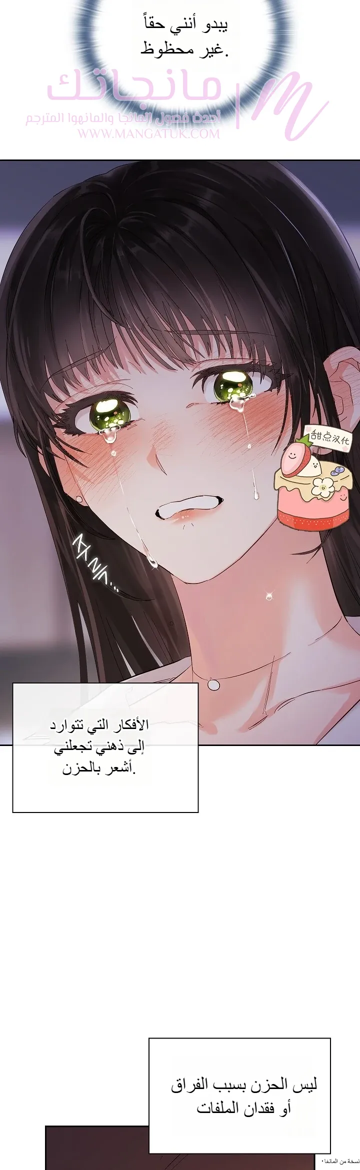 الصفحة 27