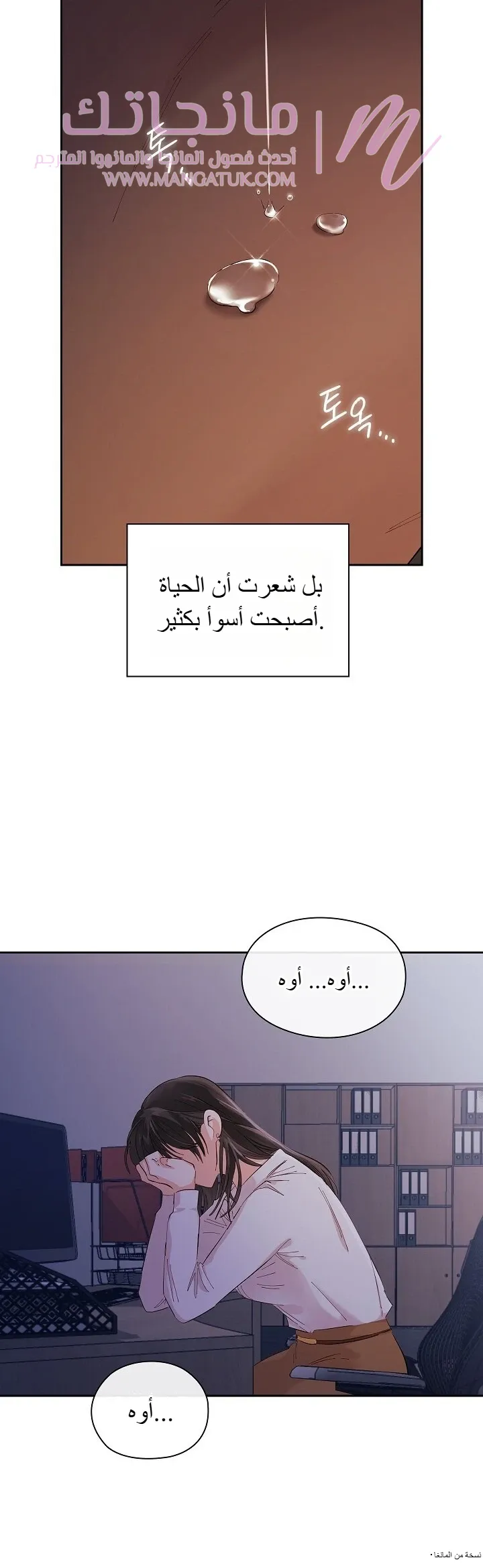 الصفحة 28