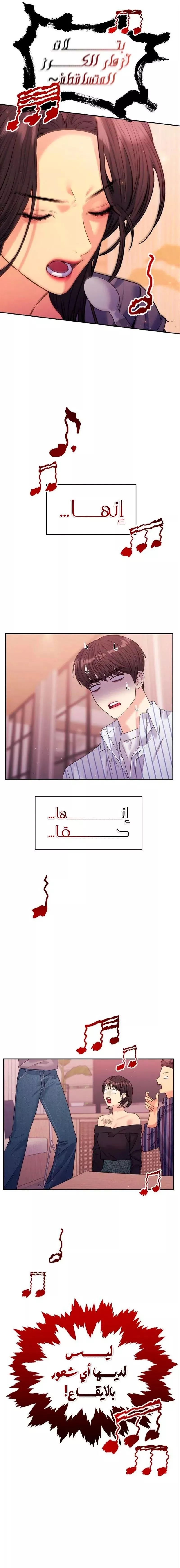 الصفحة 17
