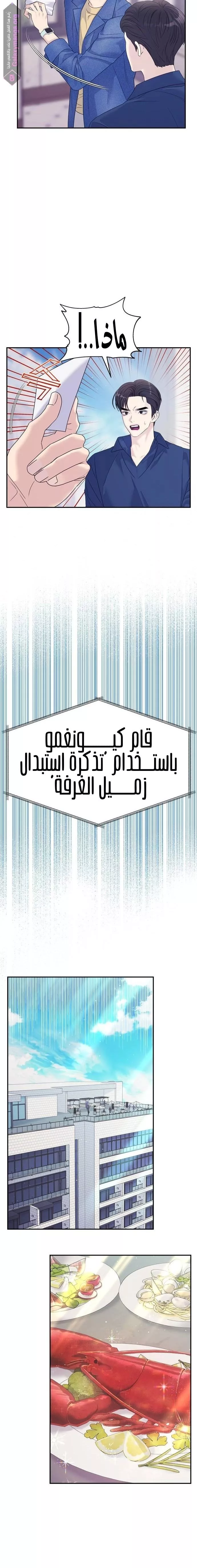 الصفحة 11
