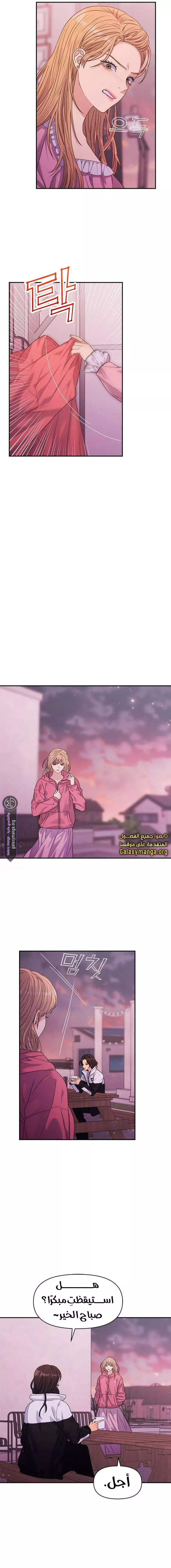 الصفحة 17
