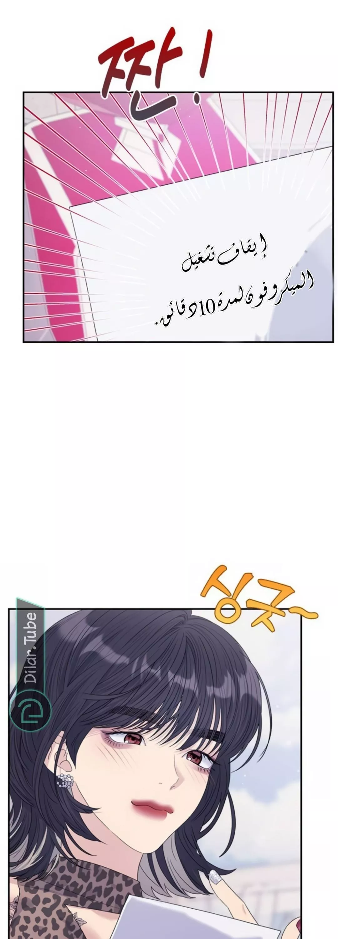 الصفحة 21