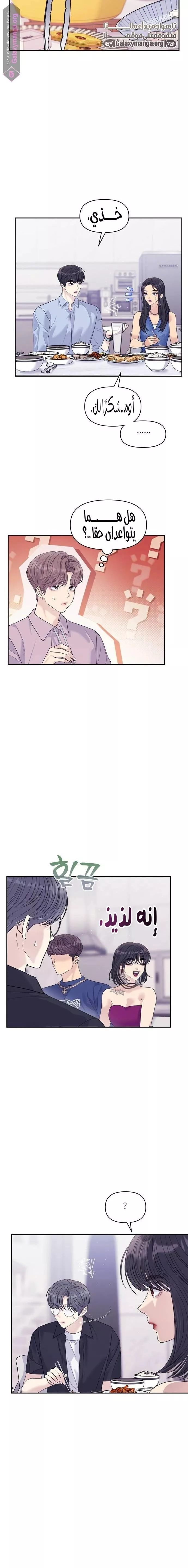 الصفحة 17