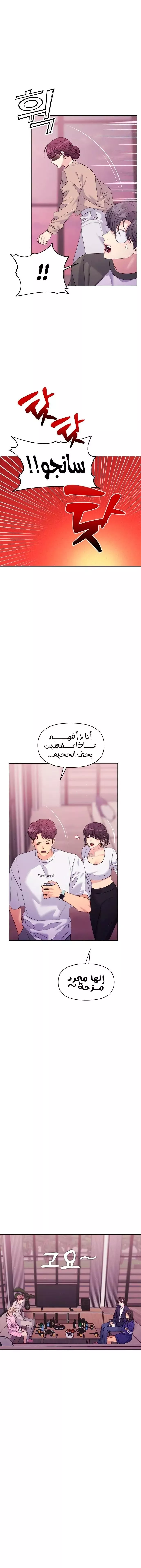 الصفحة 13