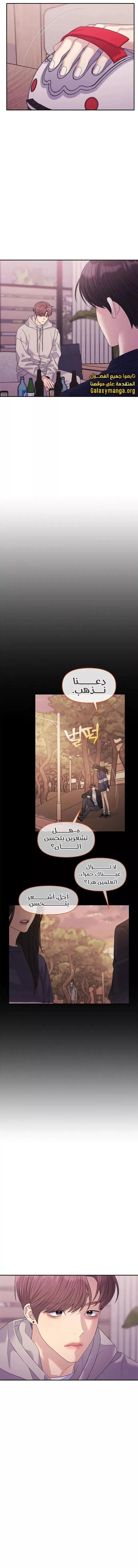 الصفحة 17