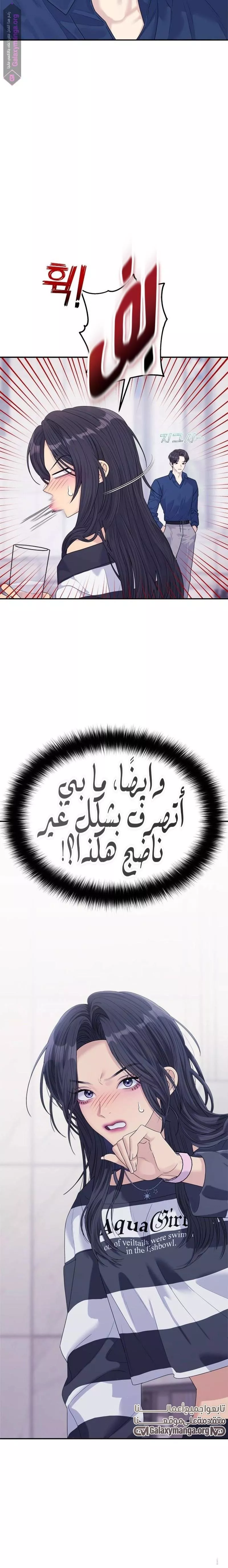 الصفحة 26