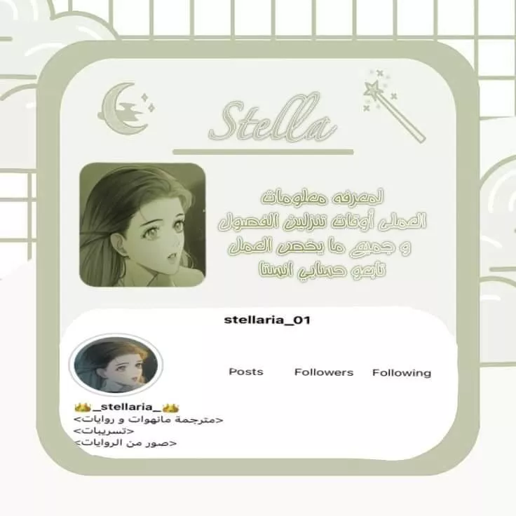 الصفحة 13