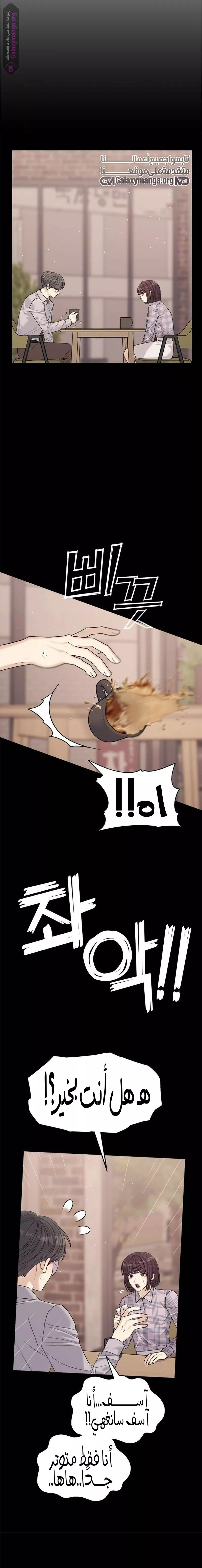 الصفحة 17