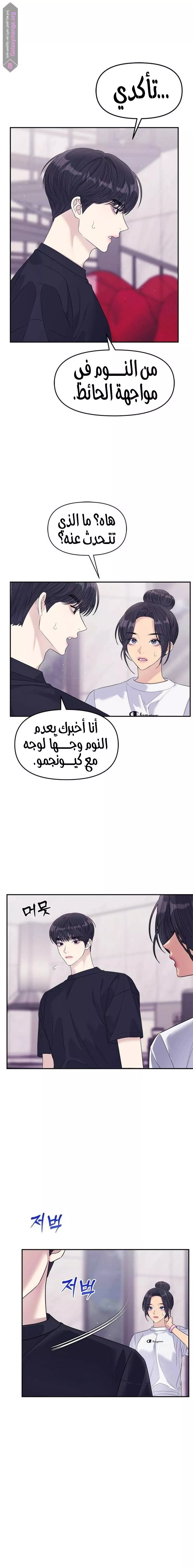 الصفحة 10