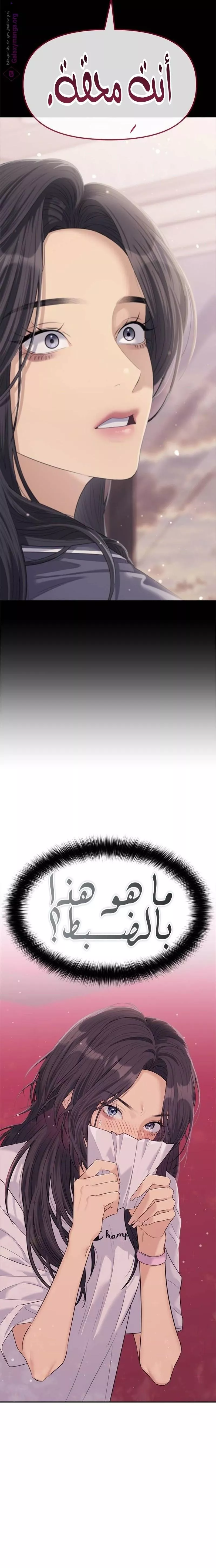 الصفحة 25