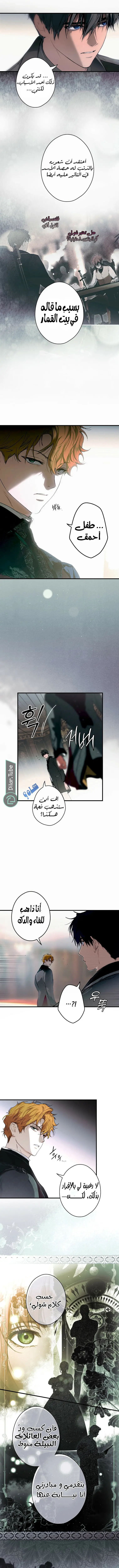 الصفحة 5