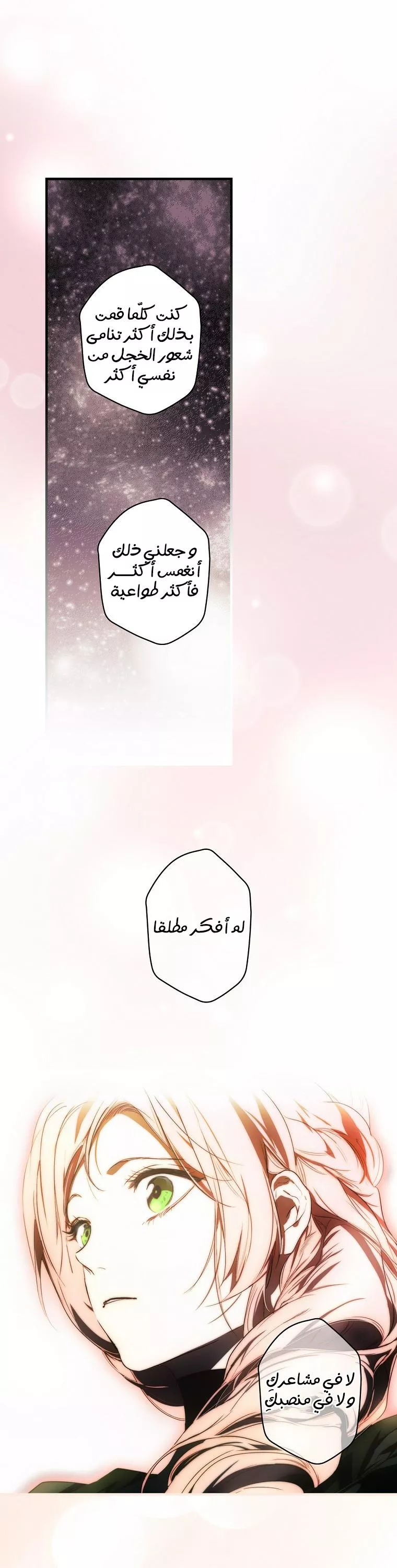الصفحة 24
