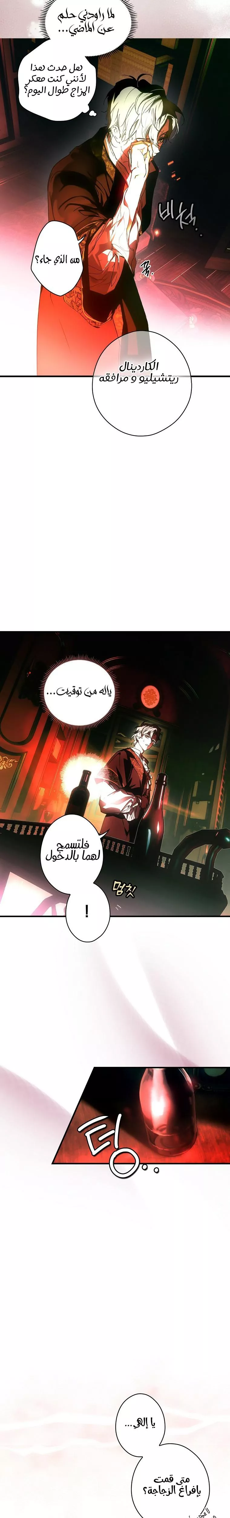 الصفحة 21