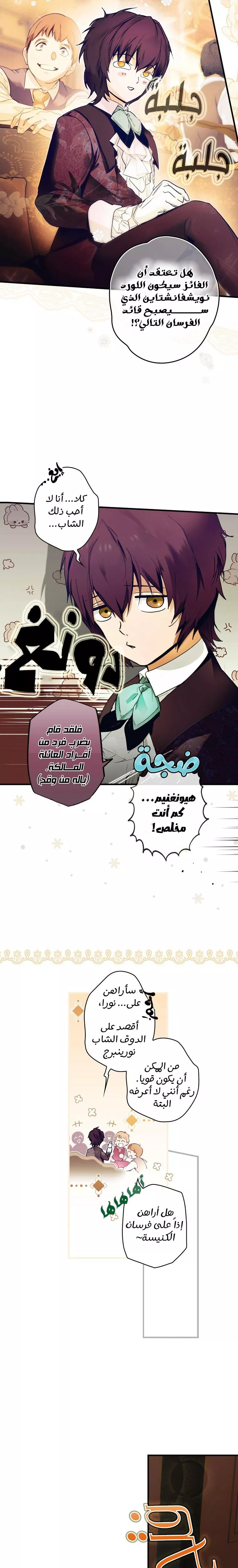 الصفحة 21