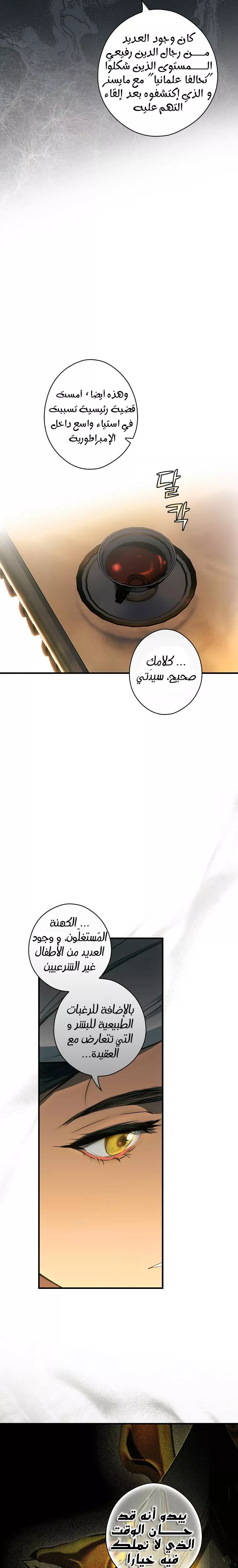 الصفحة 13