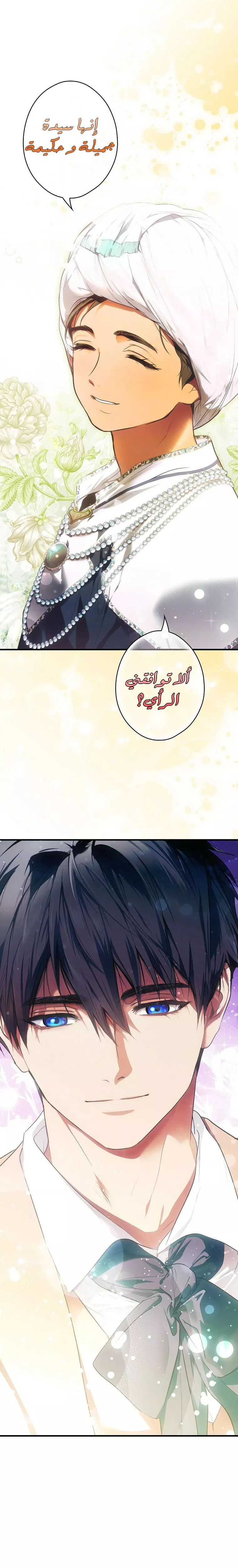 الصفحة 29