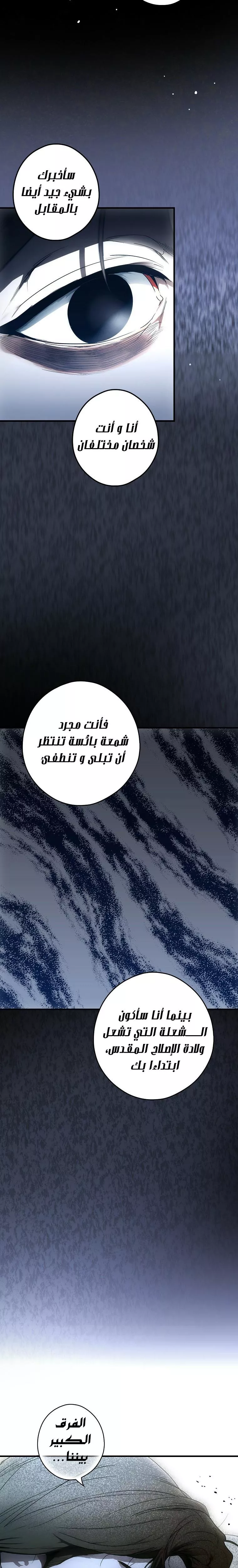 الصفحة 30