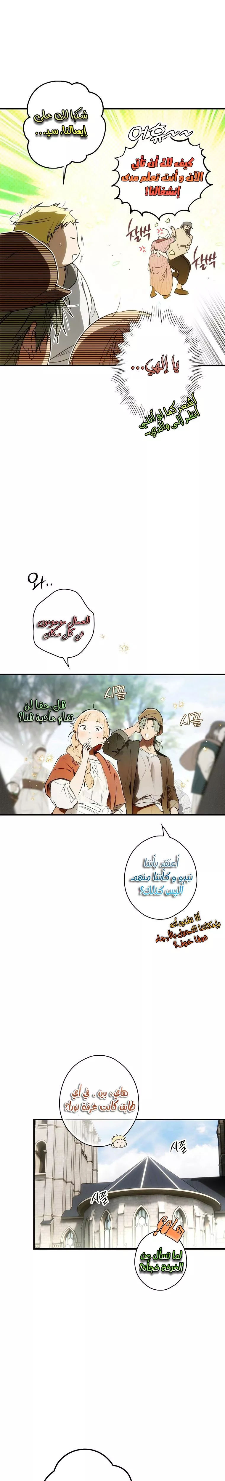 الصفحة 11