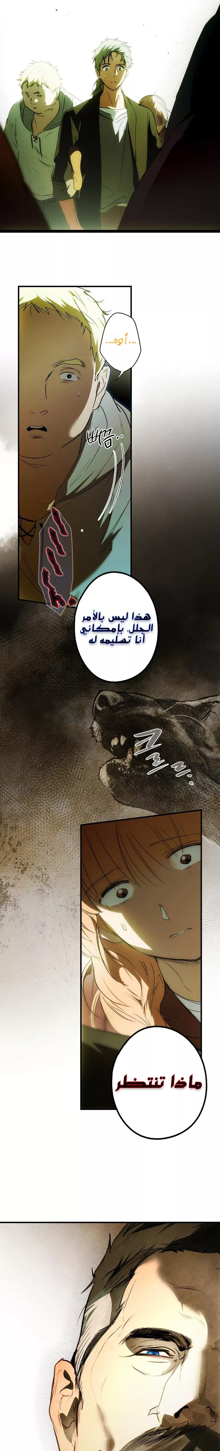الصفحة 19