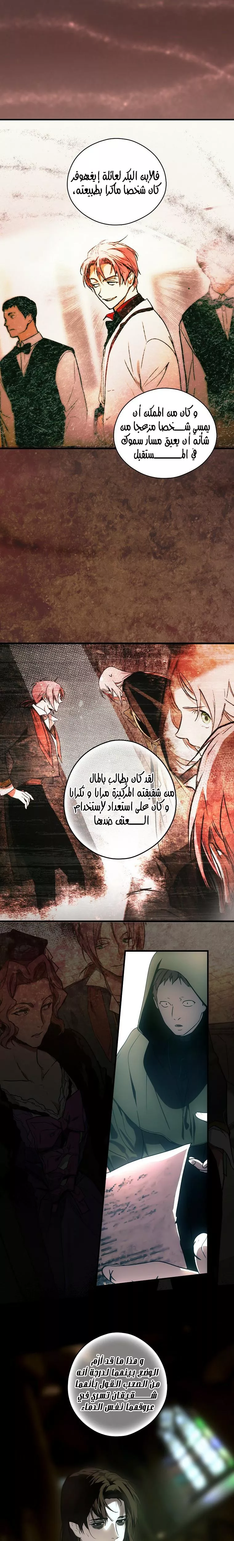 الصفحة 14