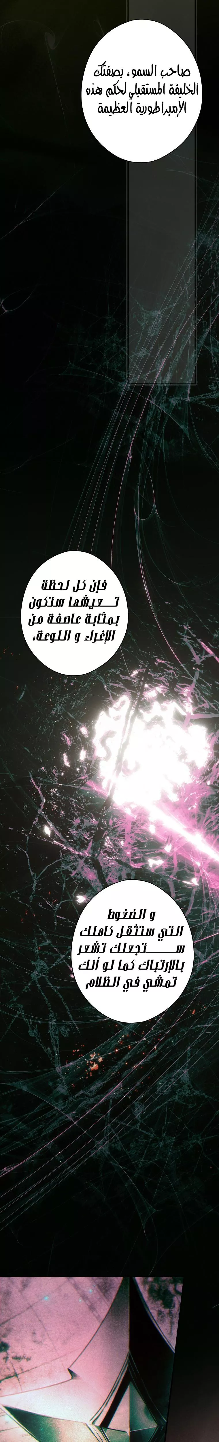 الصفحة 17