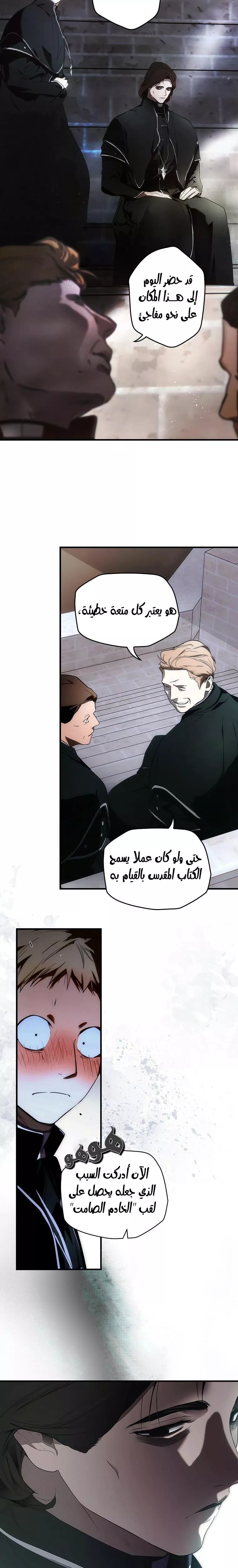 الصفحة 12