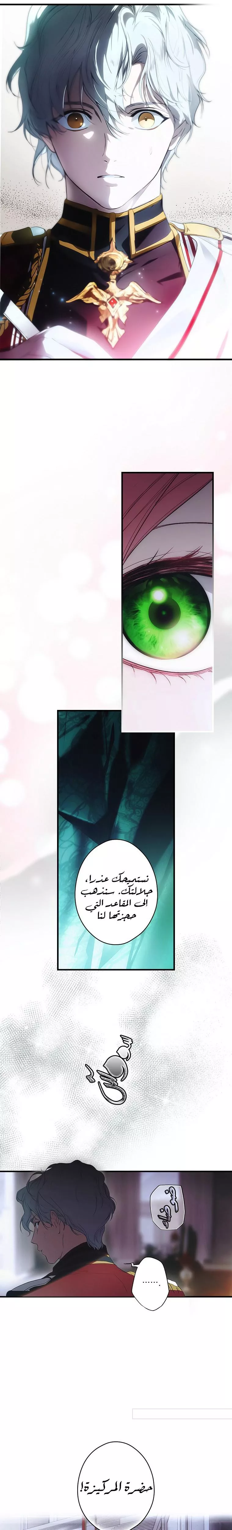 الصفحة 20