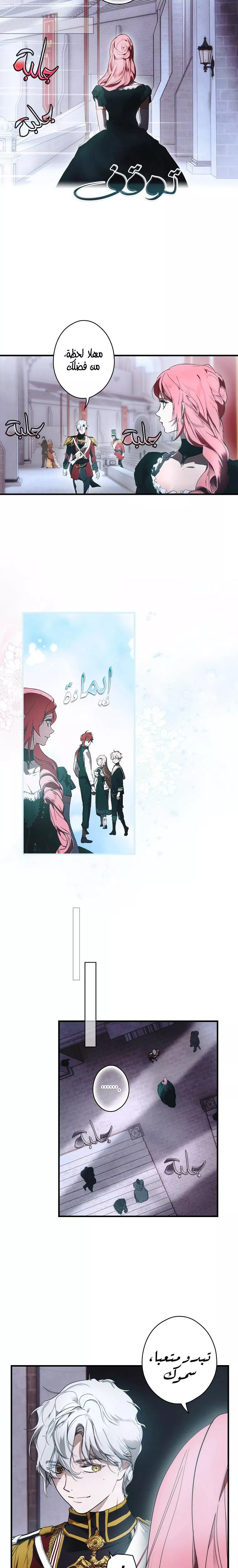 الصفحة 21