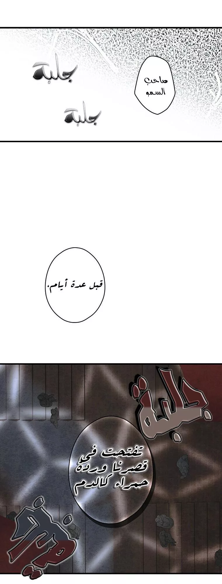 الصفحة 24