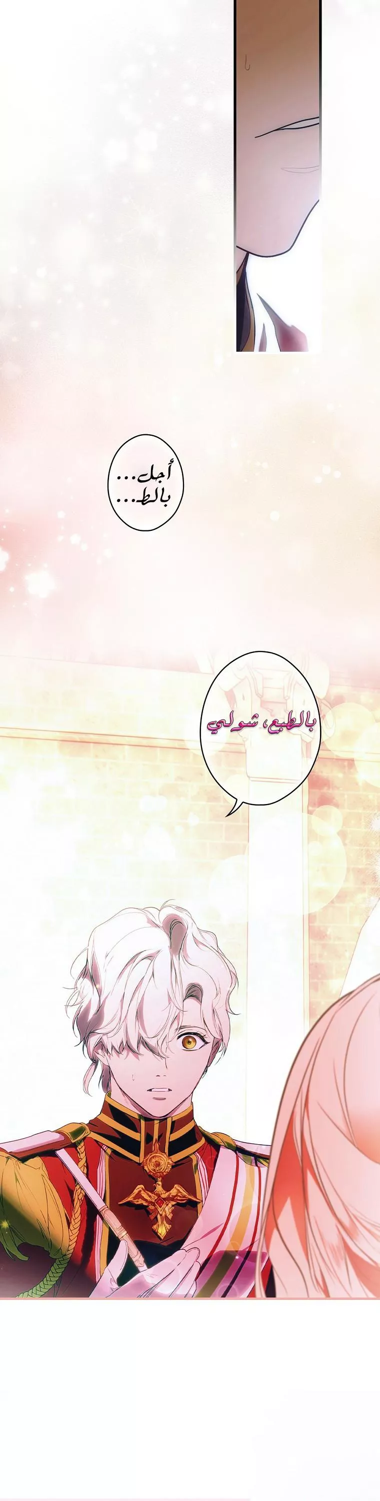 الصفحة 26